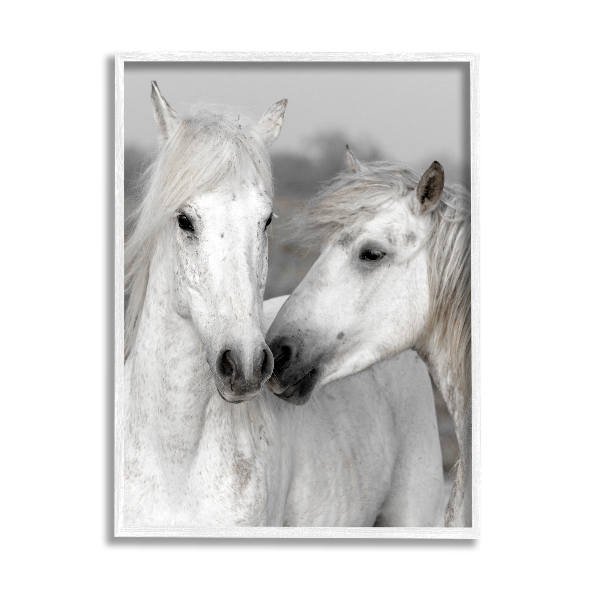 Stupell Industries White Horse Pair Animals & Insects Photography White Framed Art Print Wall Art, 24 x 30