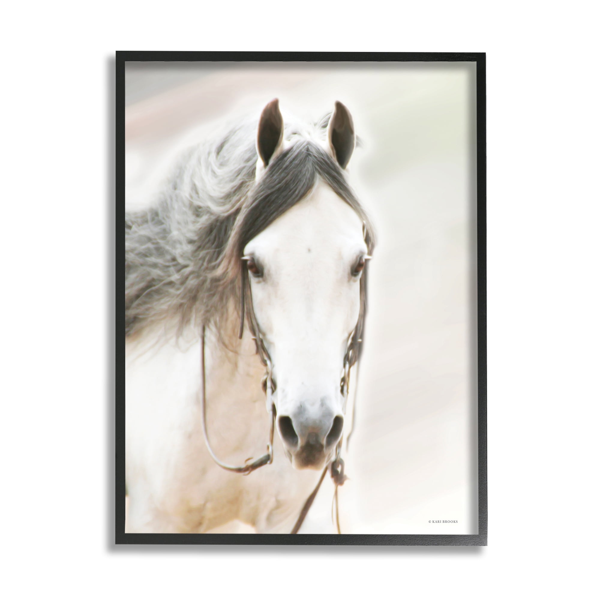 Stupell Industries White Horse Portrait Animals & Insects Photography Black Framed Art Print Wall Art, 16 x 20