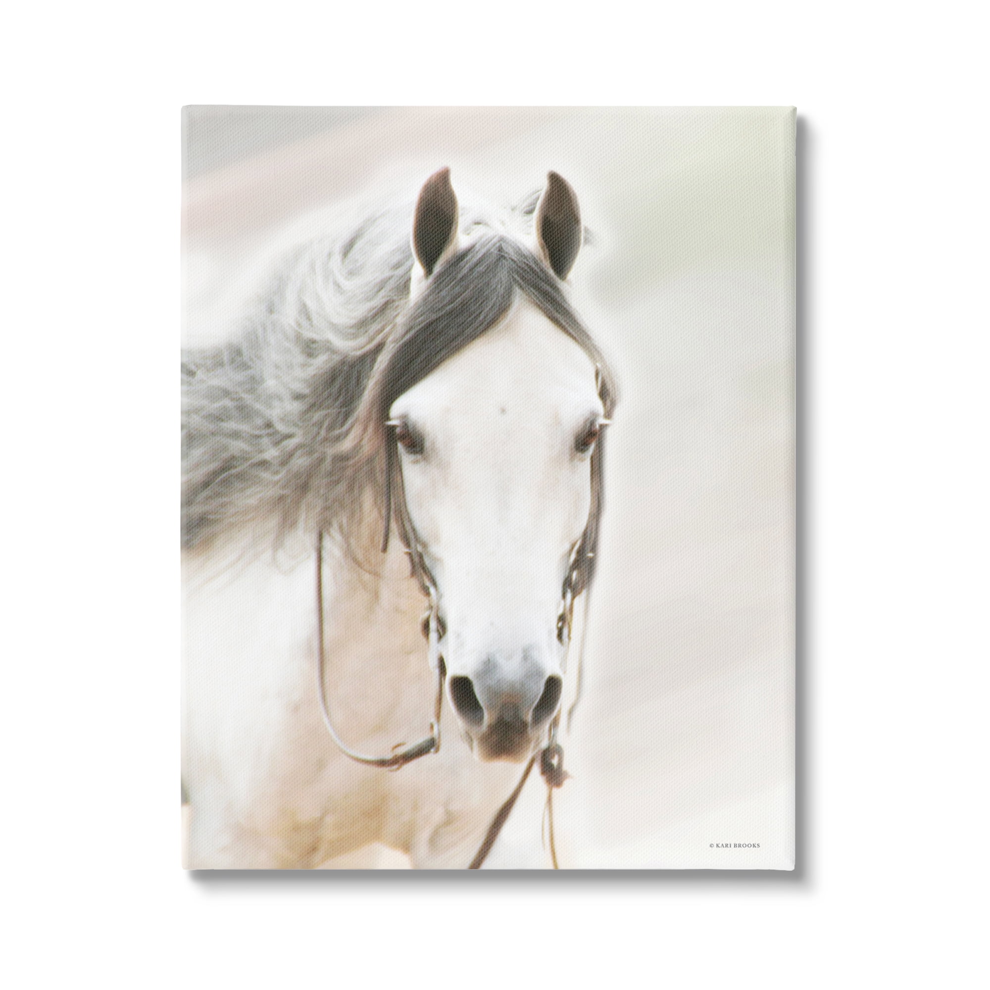 Stupell Industries White Horse Portrait Animals & Insects Photography Gallery Wrapped Canvas Print Wall Art, 30 x 40