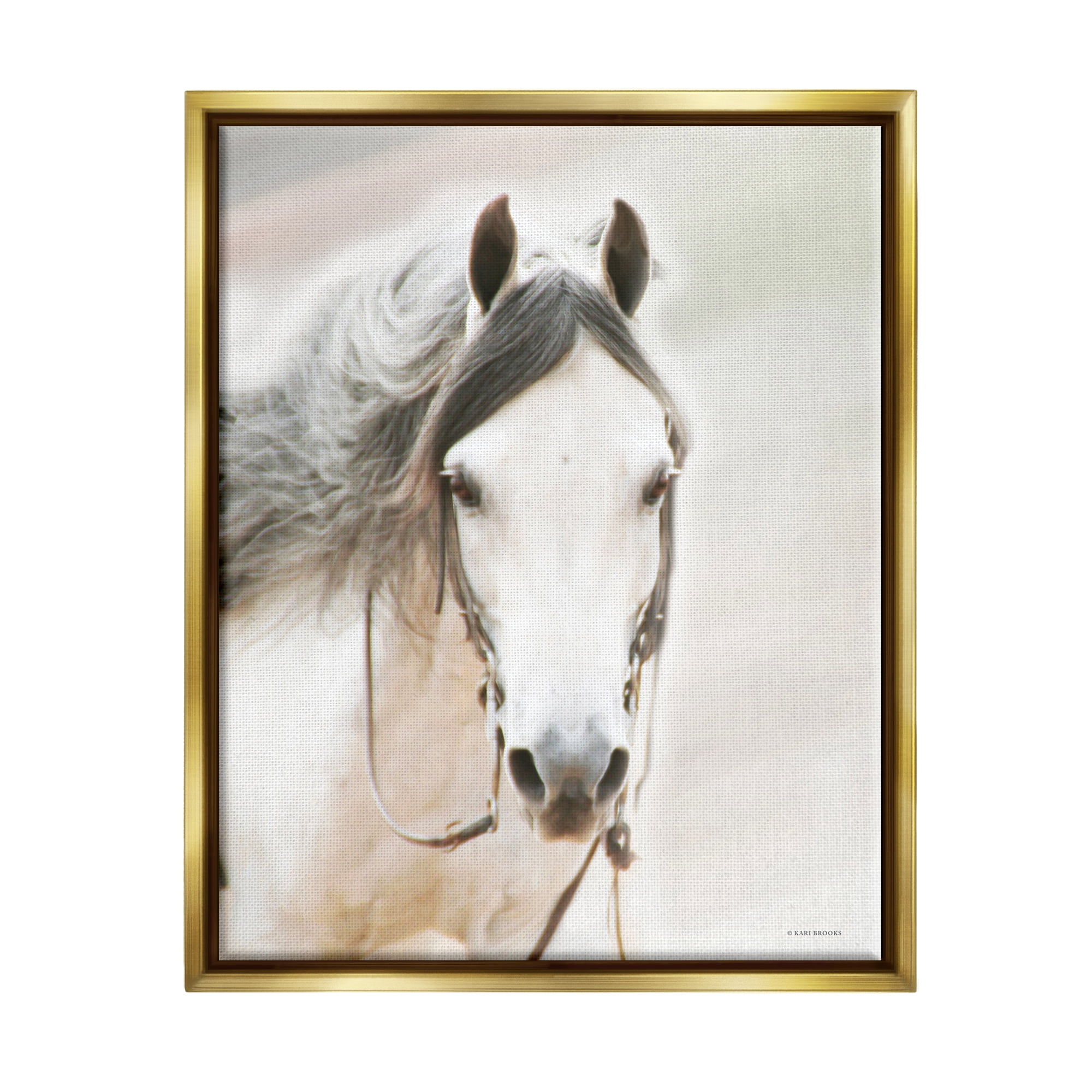 Stupell Industries White Horse Portrait Animals & Insects Photography Gold Floater Framed Art Print Wall Art, 17 x 21