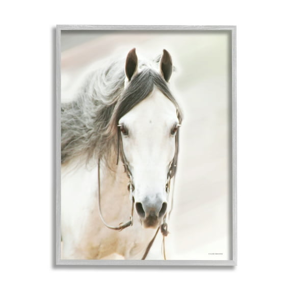 Stupell Industries White Horse Portrait Animals & Insects Photography Gray Framed Art Print Wall Art, 16 x 20