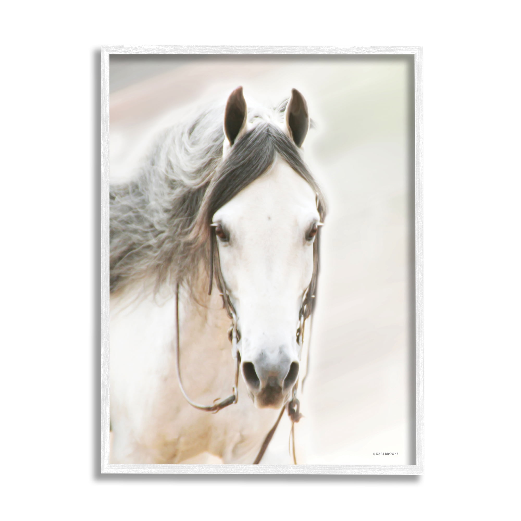 Stupell Industries White Horse Portrait Animals & Insects Photography White Framed Art Print Wall Art, 16 x 20