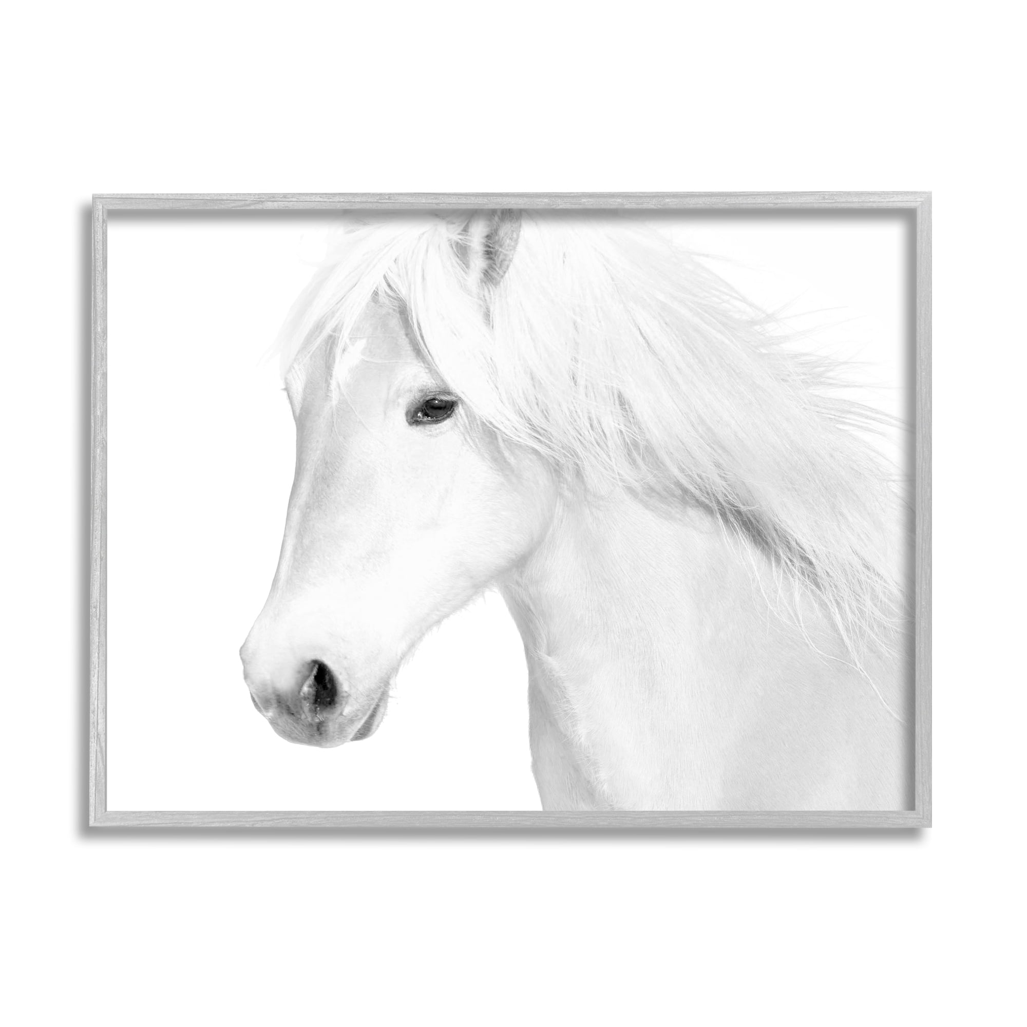Stupell Industries White Horse Portrait Wild Stallion Modern Monochromatic Photography, 14 x 11,Design by Samantha Carter