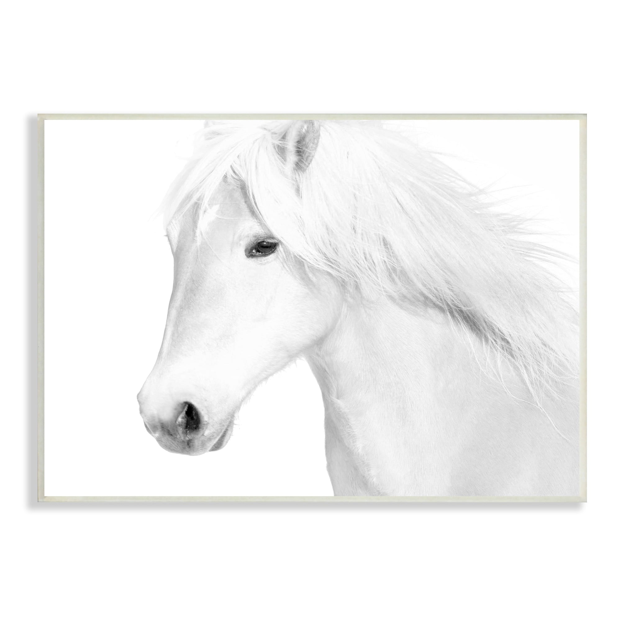 Stupell Industries White Horse Portrait Wild Stallion Modern Monochromatic Photography, 15 x 10,Design by Samantha Carter