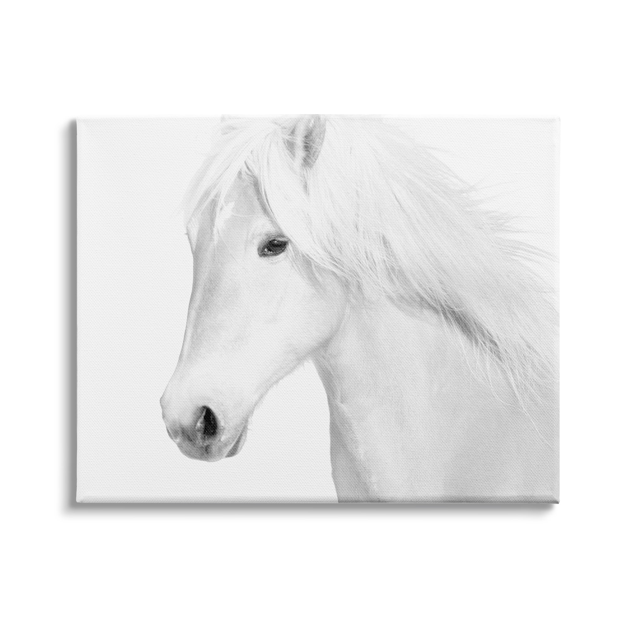 Stupell Industries White Horse Portrait Wild Stallion Modern Monochromatic Photography, 40 x 30,Design by Samantha Carter