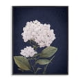 thumbnail image 1 of Stupell Industries Glam White Hydrangea Blossom Black Framed Giclee Art, 11 x 14, by Patricia Pinto, 1 of 8