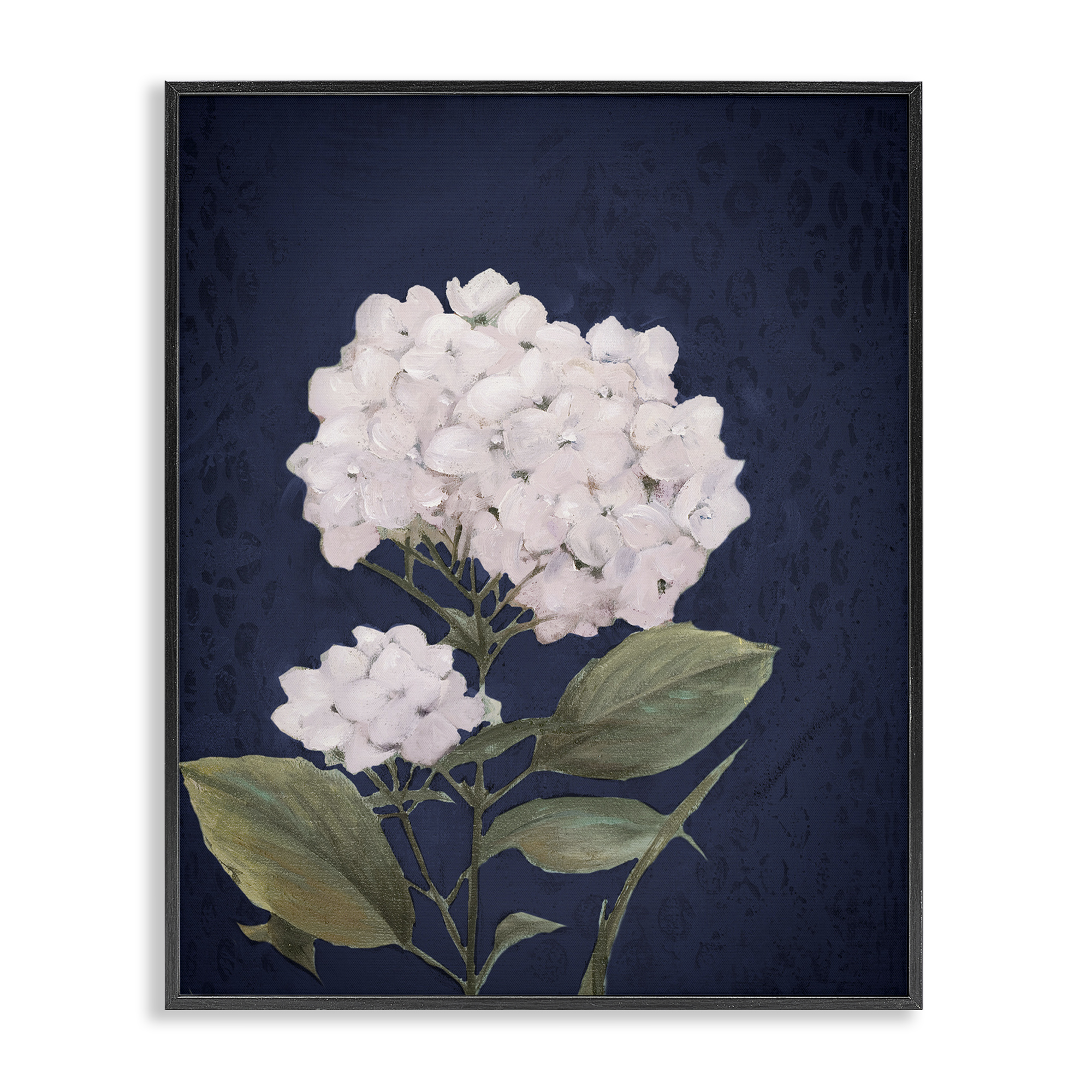 Stupell Industries White Hydrangea Blossom Botanical & Floral Painting Black Framed Art Print Wall Art, 16 x 20
