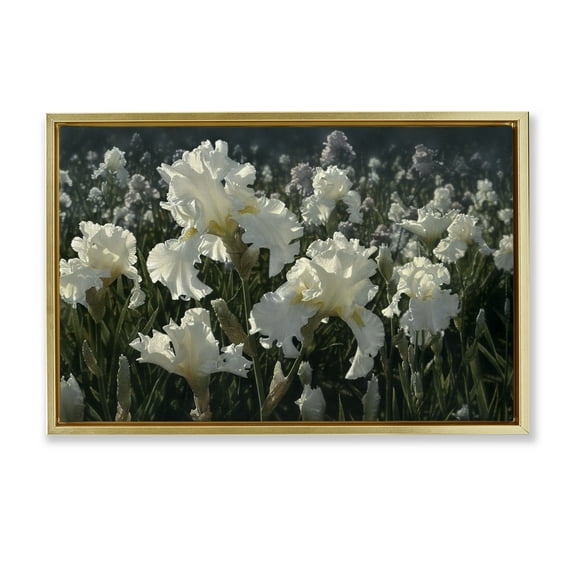 Stupell Industries White Iris Garden Gold Framed Floater Canvas Wall Art design by Collin Bogle, 21 x 31