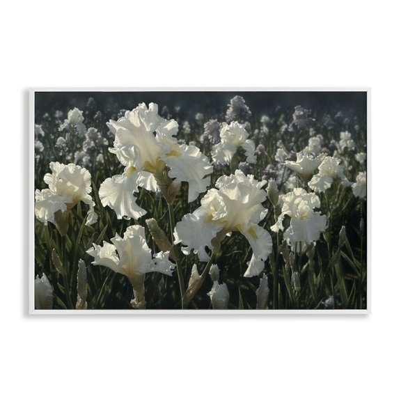 Stupell Industries White Iris Garden White Framed Giclee Art design by Collin Bogle, 12 x 18