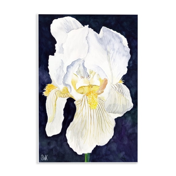 Stupell Industries White Iris Petals Abstract Painting Unframed Art Print Wall Art, 10 x 15