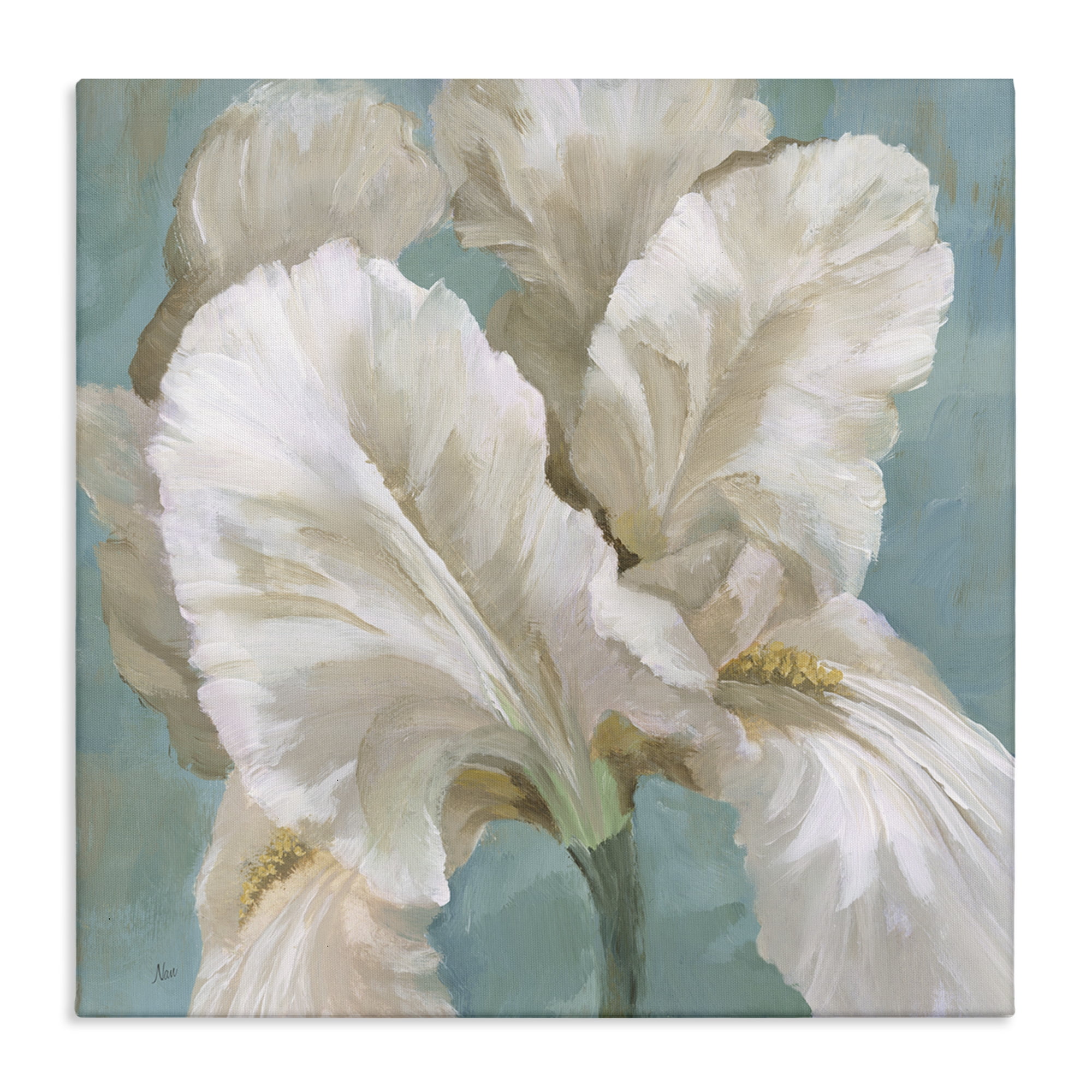 Stupell Industries White Iris Petals Botanical & Floral Painting Gallery Wrapped Canvas Art Print Wall Art, 17 x 17