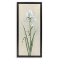thumbnail image 1 of Stupell Industries Transitional White Iris on Beige Black Floating Frame Canvas Art, 11 x 25, by Sally Swatland, 1 of 8