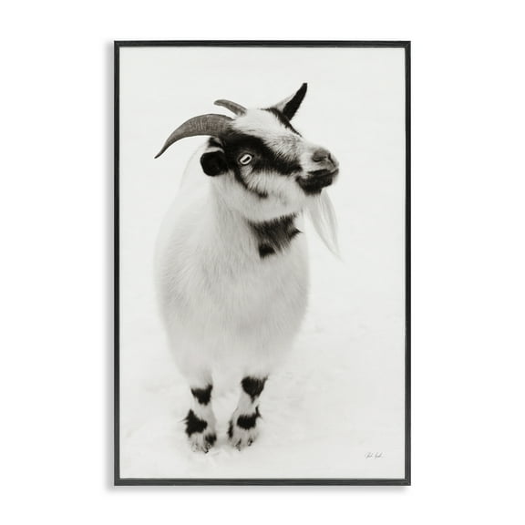 Stupell Industries White Little Goat Black Framed Giclee Art design by Deborah Revell, 24 x 16
