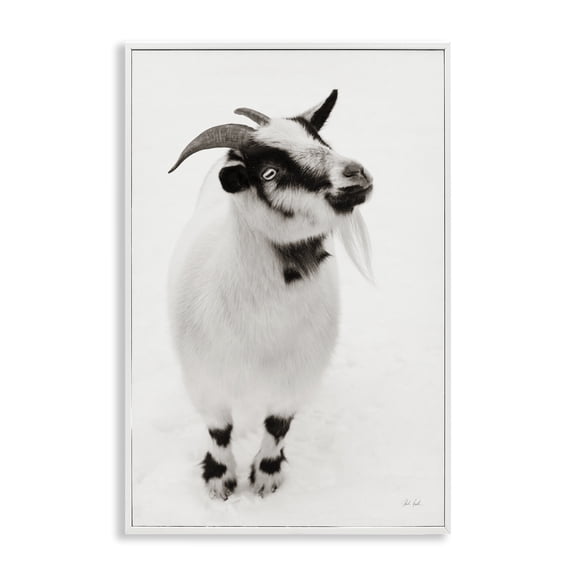 Stupell Industries White Little Goat White Framed Giclee Art design by Deborah Revell, 30 x 20