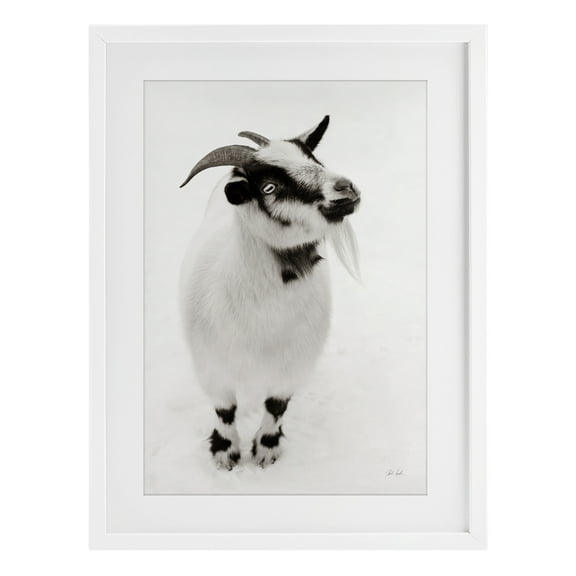 Stupell Industries White Little Goat White Framed Print Under Glass design by Deborah Revell, 20 x 14