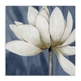 thumbnail image 1 of Stupell Industries Art Deco White Lotus Petals Canvas Art, 30 x 30, by Carol Robinson, 1 of 8