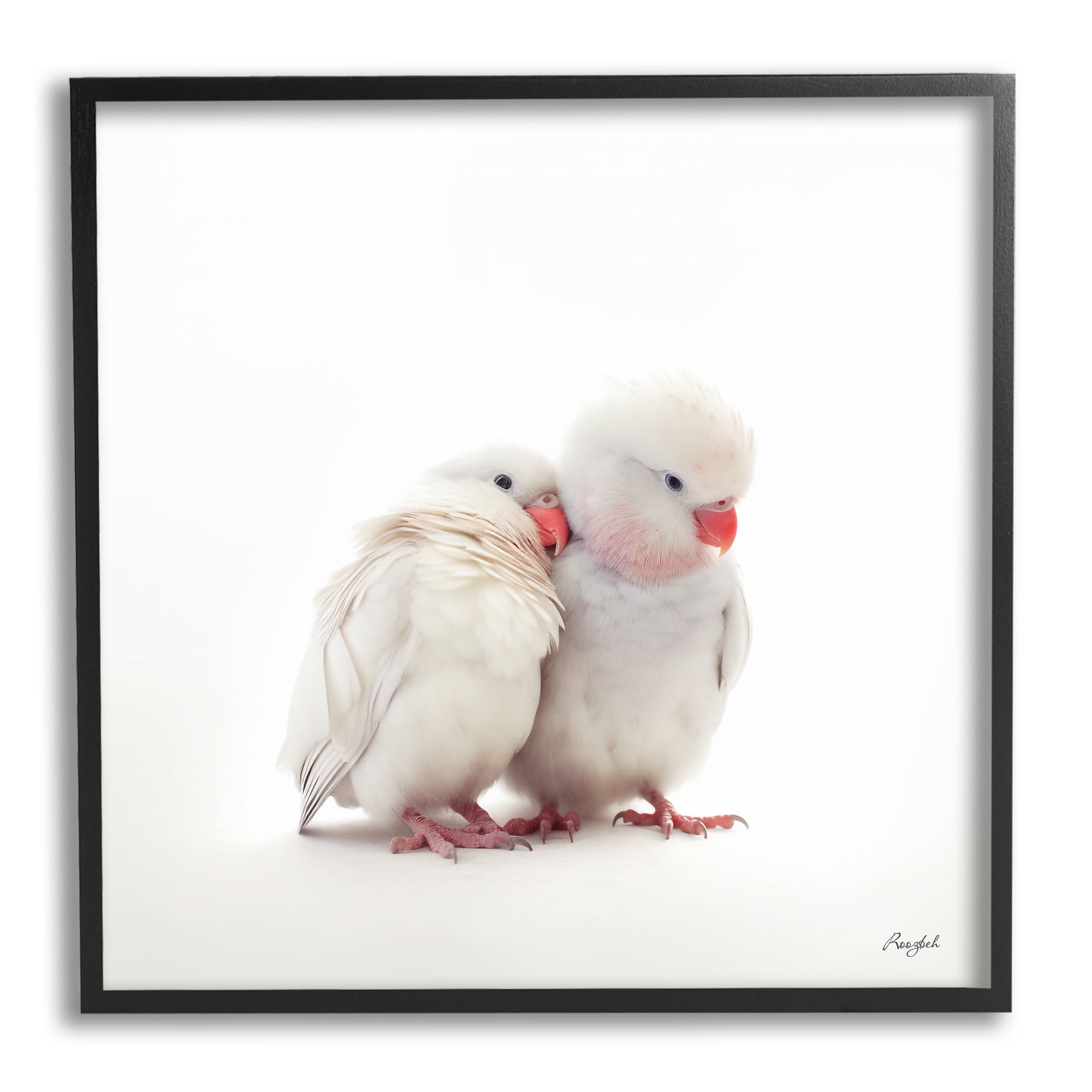 Stupell Industries White Love Birds Animals & Insects Painting Black Framed Art Print Wall Art, 24 x 24