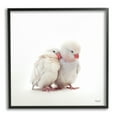 thumbnail image 1 of Stupell Industries White Love Birds Animals & Insects Painting Black Framed Art Print Wall Art, 24 x 24, 1 of 9