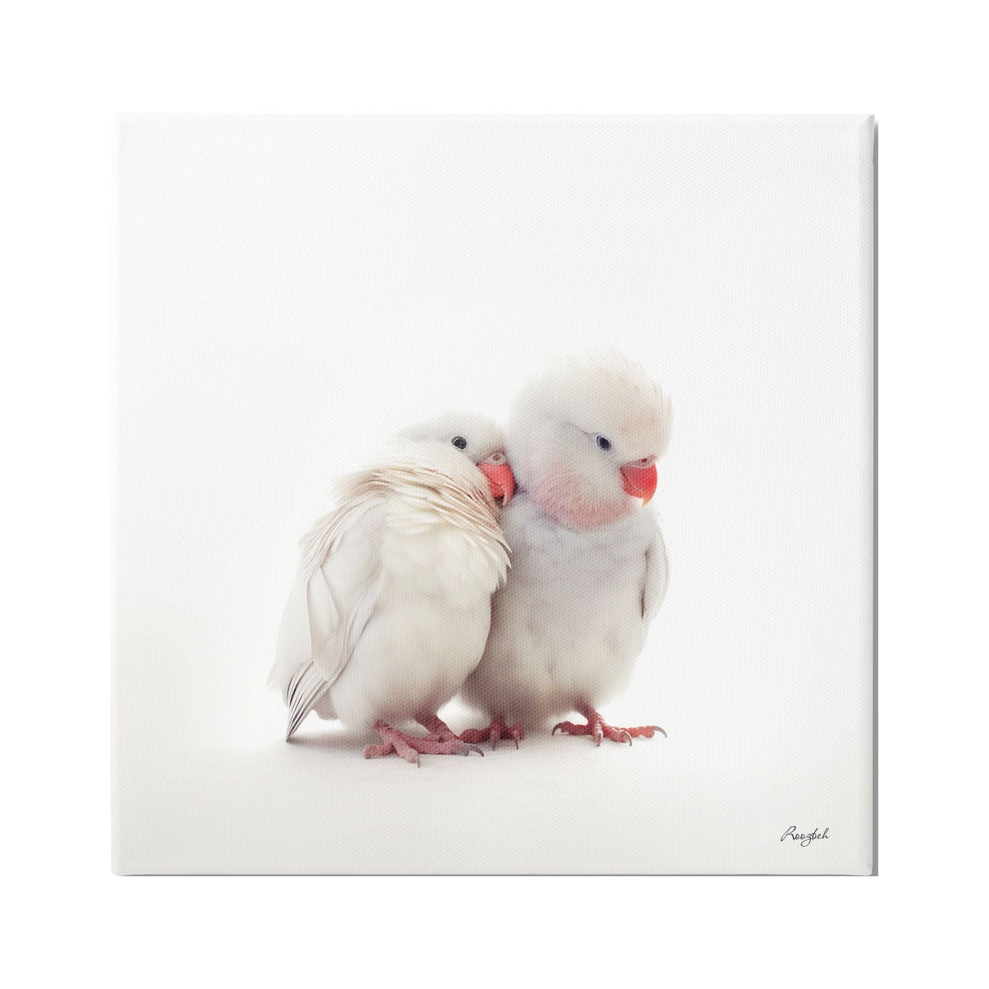 Stupell Industries White Love Birds Animals & Insects Painting Gallery Wrapped Canvas Art Print Wall Art, 36 x 36