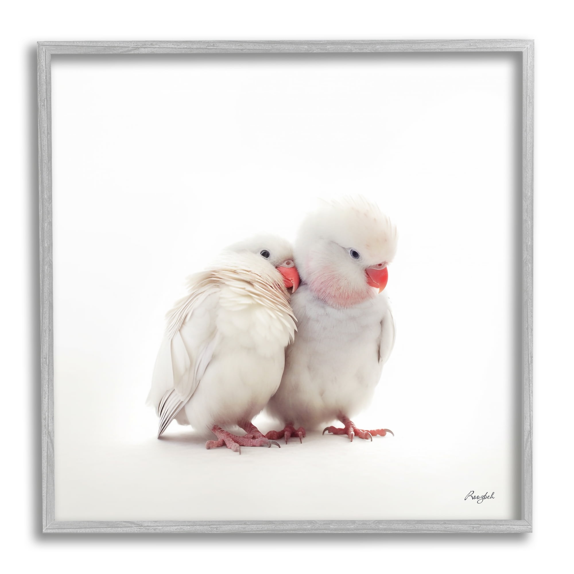 Stupell Industries White Love Birds Animals & Insects Painting Gray Framed Art Print Wall Art, 17 x 17