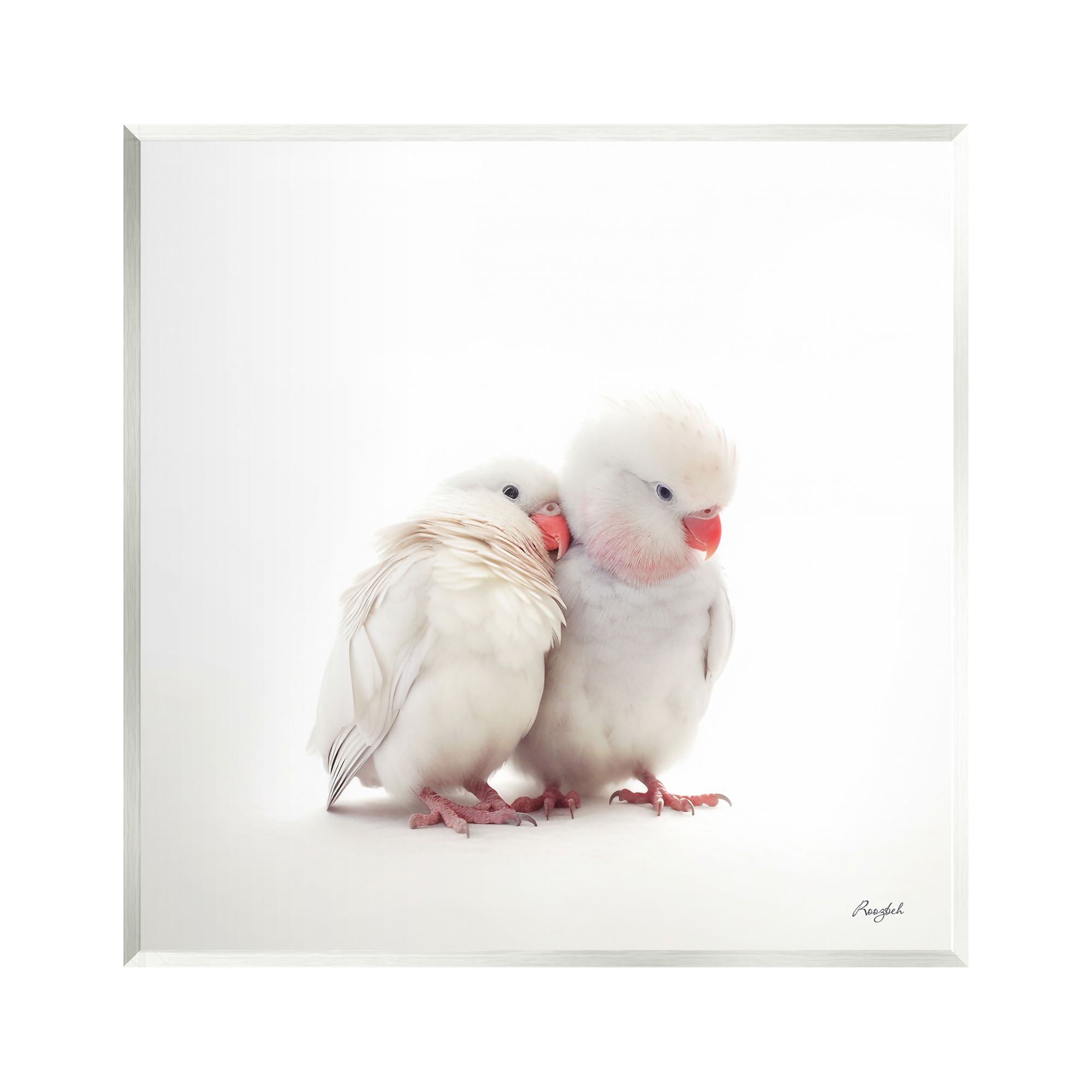 Stupell Industries White Love Birds Animals & Insects Painting Unframed Art Print Wall Art, 12 x 12