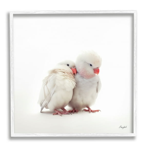 Stupell Industries White Love Birds Animals & Insects Painting White Framed Art Print Wall Art, 17 x 17