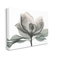 thumbnail image 1 of Stupell Industries White Magnolia Flower White Green Silhouette Canvas Wall Art by Albert Koetsier, 1 of 6