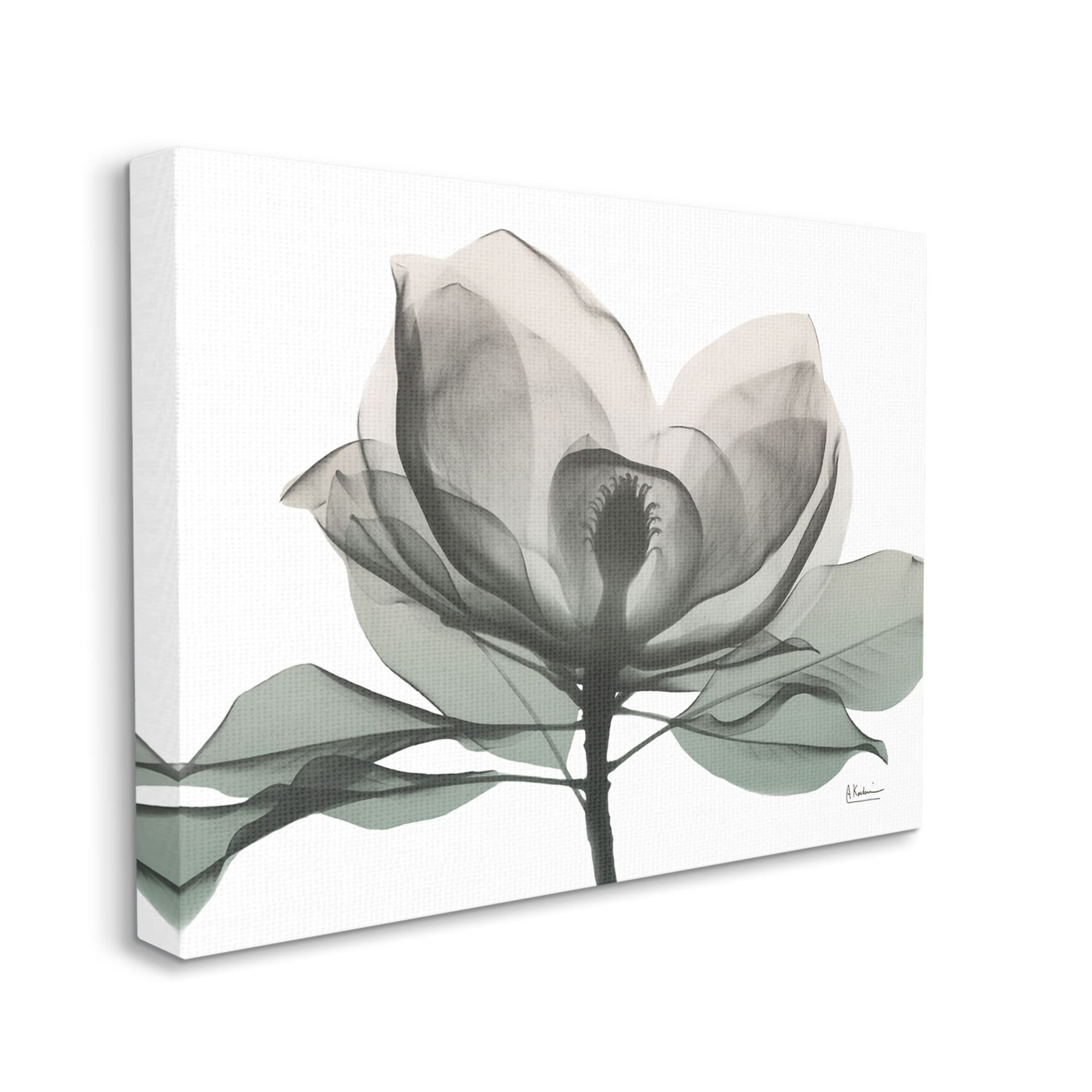 Stupell Industries White Magnolia Flower White Green Silhouette Canvas Wall Art by Albert Koetsier