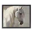 thumbnail image 1 of Stupell Industries Transitional White Moon Horse Black Floating Frame Canvas Art, 21 x 17, by Svetlana Aleynikova, 1 of 8