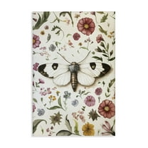 Stupell Industries White Moth & Botanicals Floral Painting Wrapped Canvas Canvas Art Print Wall Art, 16 x 24