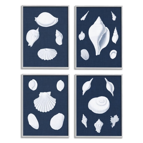 Stupell Industries White Nautical Beach Shells Minimal Deep Blue Design by Vision Studio