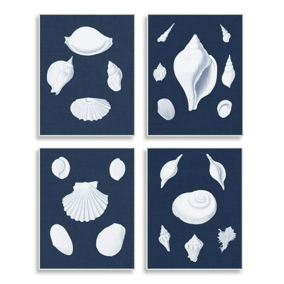 Stupell Industries White Nautical Beach Shells Minimal Deep Blue Design by Vision Studio
