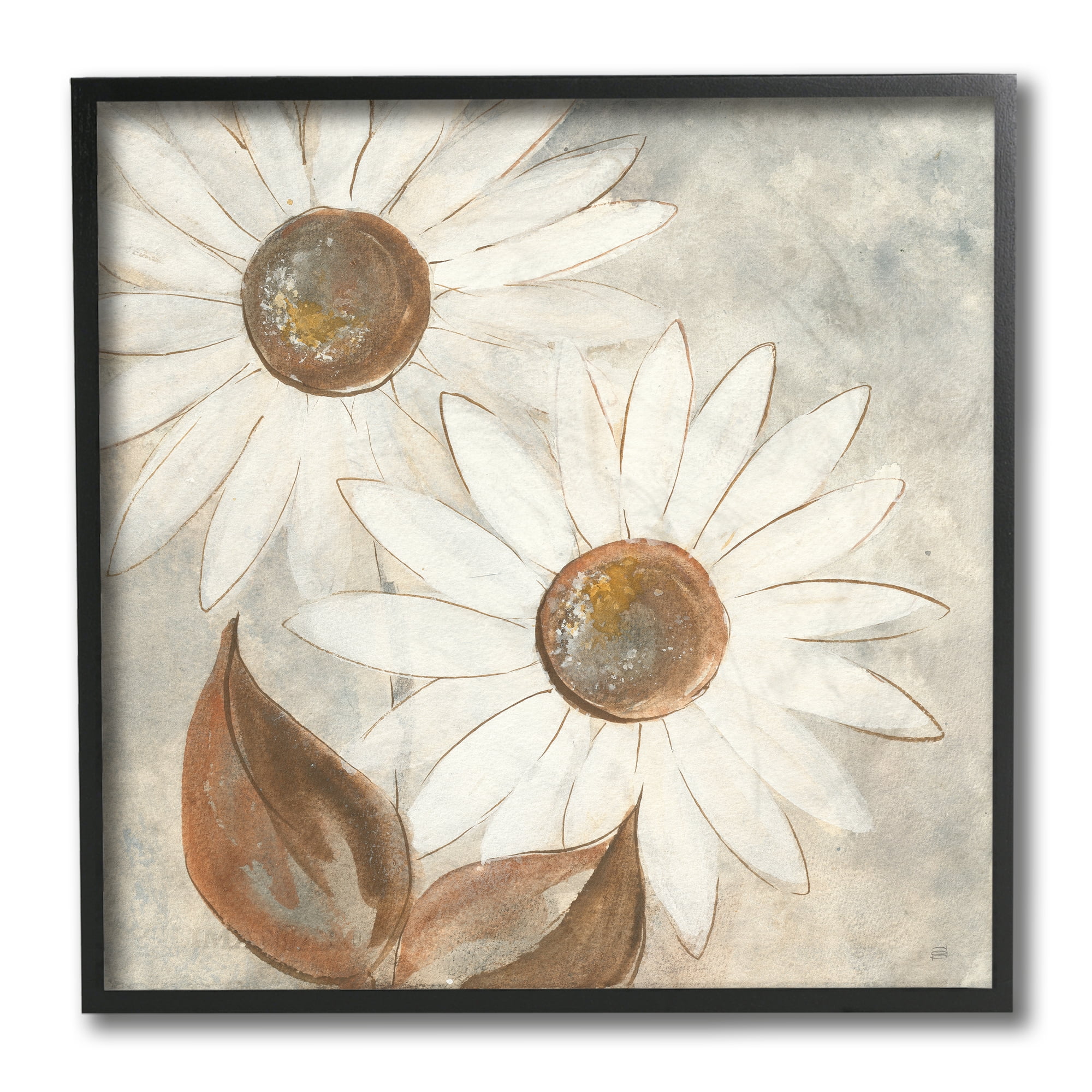 Stupell Industries White Neutral Daisy Florals Vintage Charm Black Framed, 12 x 12, Design by Chris Paschke