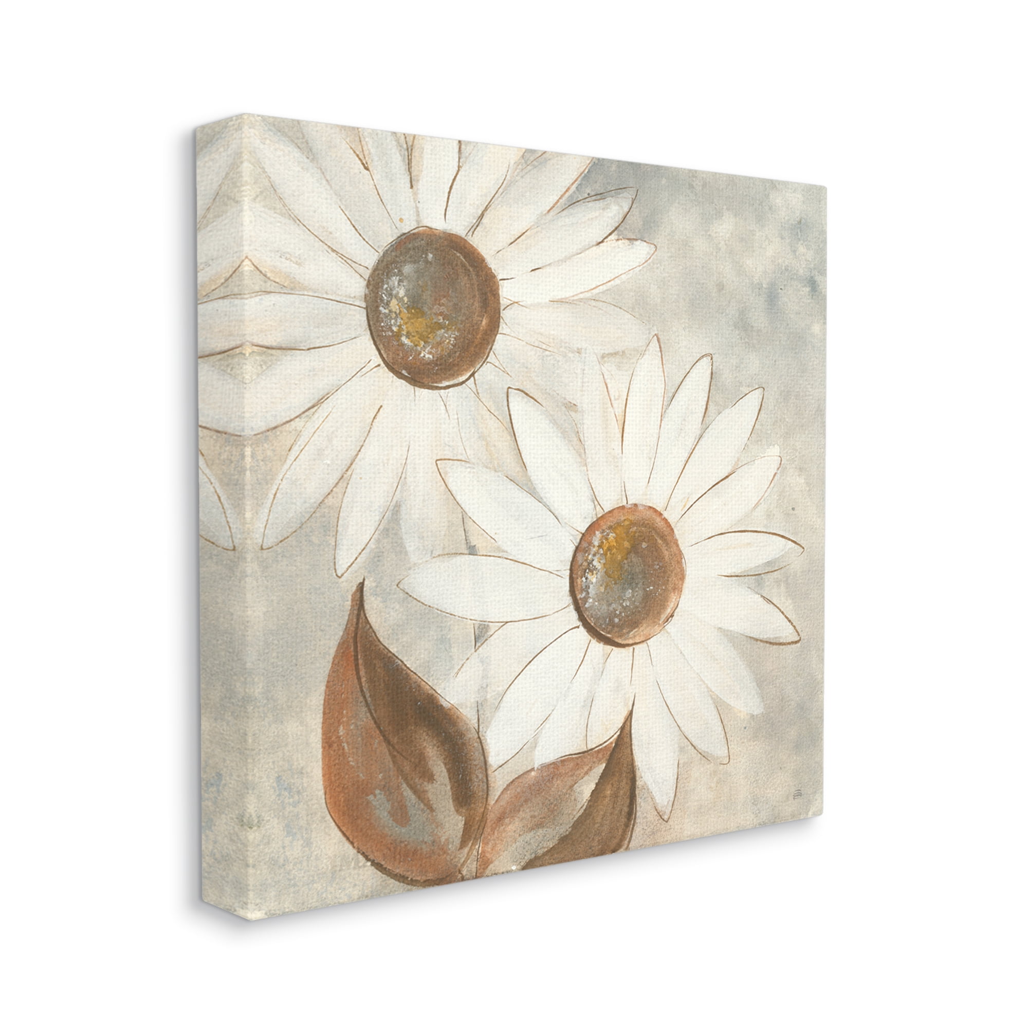 Neutral Daisy Florals Vintage Charm Canvas Wall Art, 24 x 24