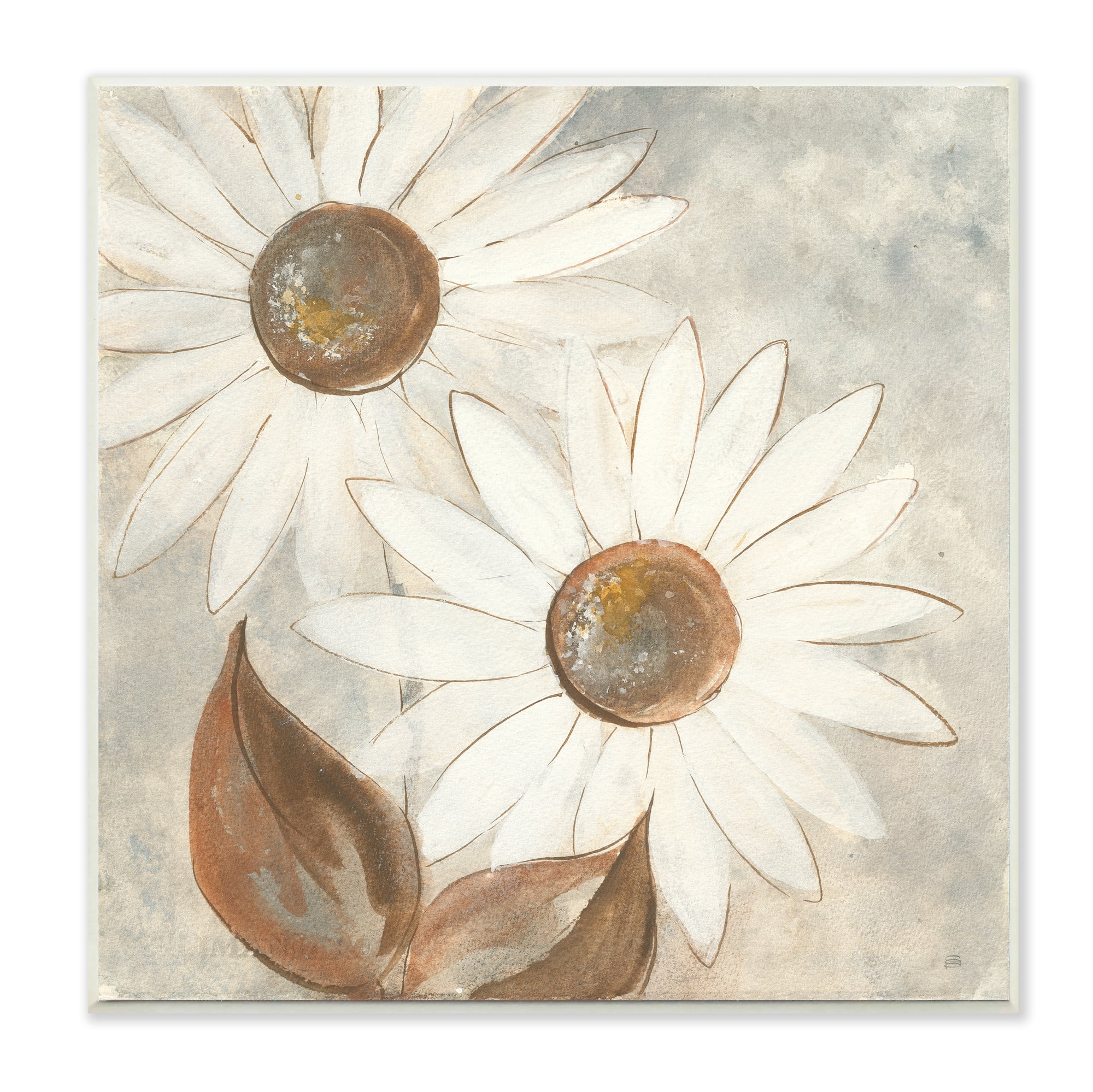 Stupell Industries White Neutral Daisy Florals Vintage Charm Wall Plaque, 12 x 12, Design by Chris Paschke