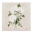 thumbnail image 1 of Stupell Industries Eclectic White On Tan Blossom Canvas Art, 30 x 30, by Lucille Price, 1 of 8