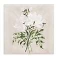 thumbnail image 1 of Stupell Industries Coastal White On Tan Floral Canvas Art, 24 x 24, by Lucille Price, 1 of 8