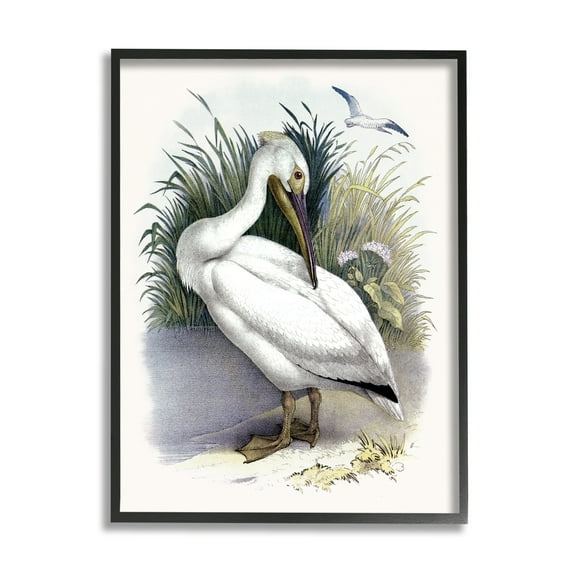 Stupell Industries White Pelican Bird Preening Grassy Riverbank Shore Painting Black Framed Art Print Wall Art, Design by Piddix