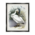 thumbnail image 1 of Stupell Industries White Pelican Bird Preening Grassy Riverbank Shore Painting Jet Black Floating Framed Canvas Print Wall Art, Design by Piddix, 1 of 5