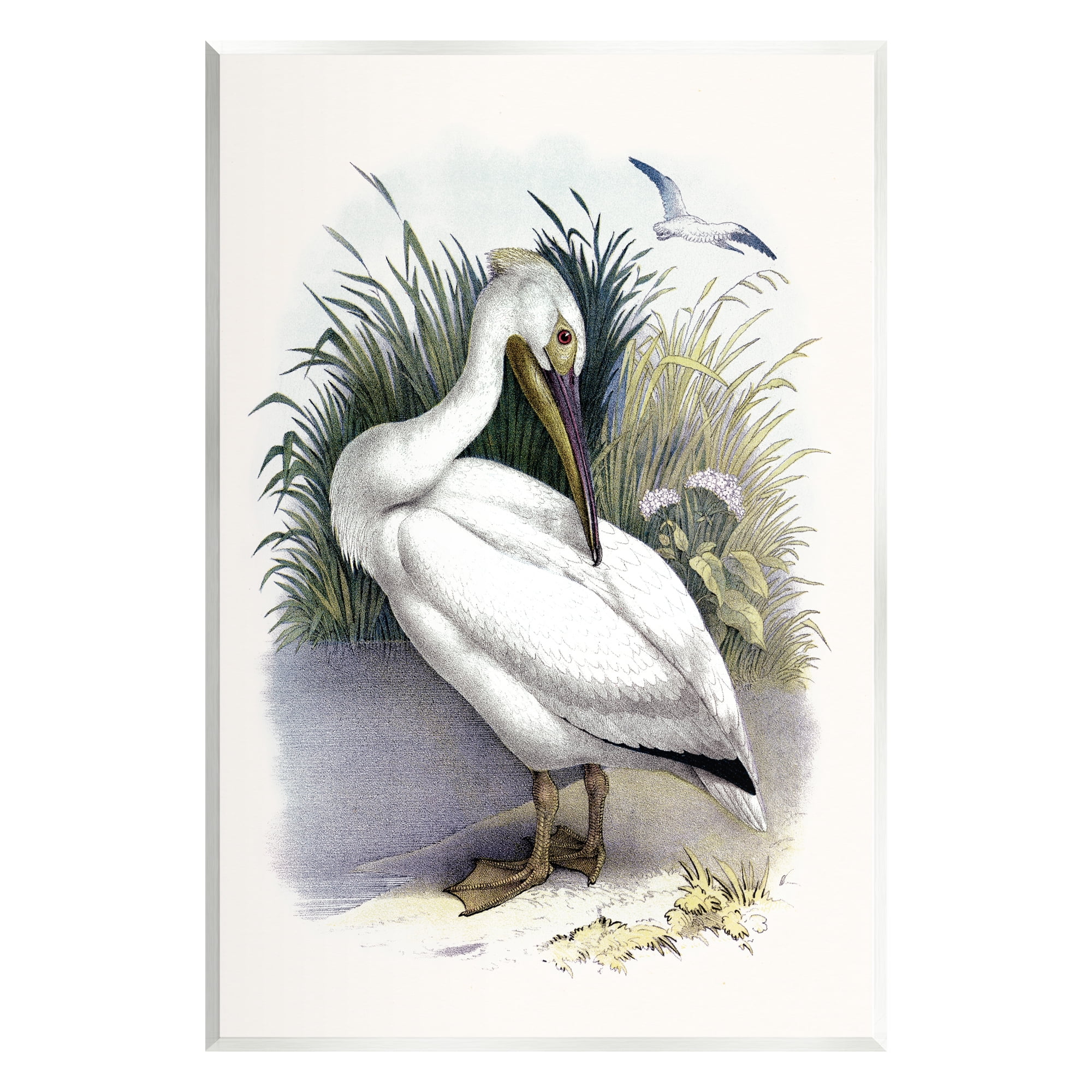 Stupell Industries White Pelican Bird Preening Grassy Riverbank Shore Painting Unframed Art Print Wall Art, Design by Piddix
