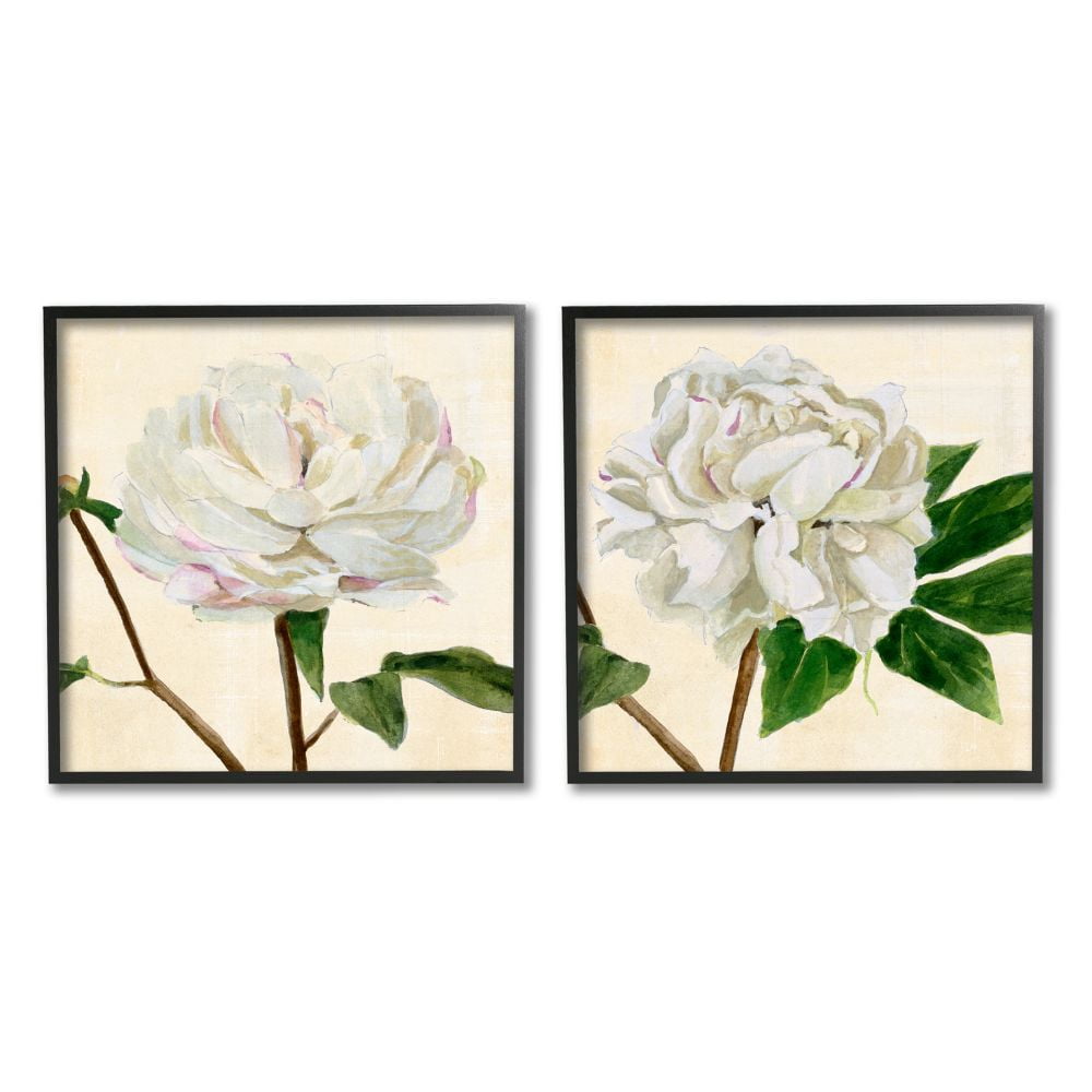Stupell Industries White Peonies with Pink Petal Details Charming Flowers Framed Wall Art Design by Annie Warren, 2 Piece, 12" x 12", Black Framed