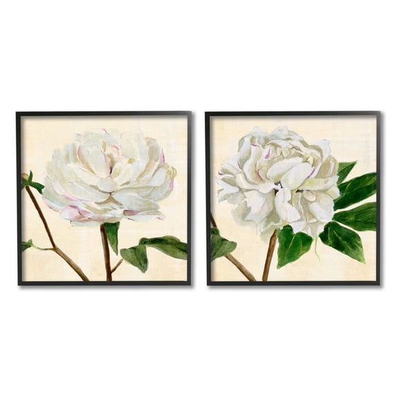 Stupell Industries White Peonies with Pink Petal Details Charming Flowers Framed Wall Art Design by Annie Warren, 2 Piece, 12" x 12", Black Framed