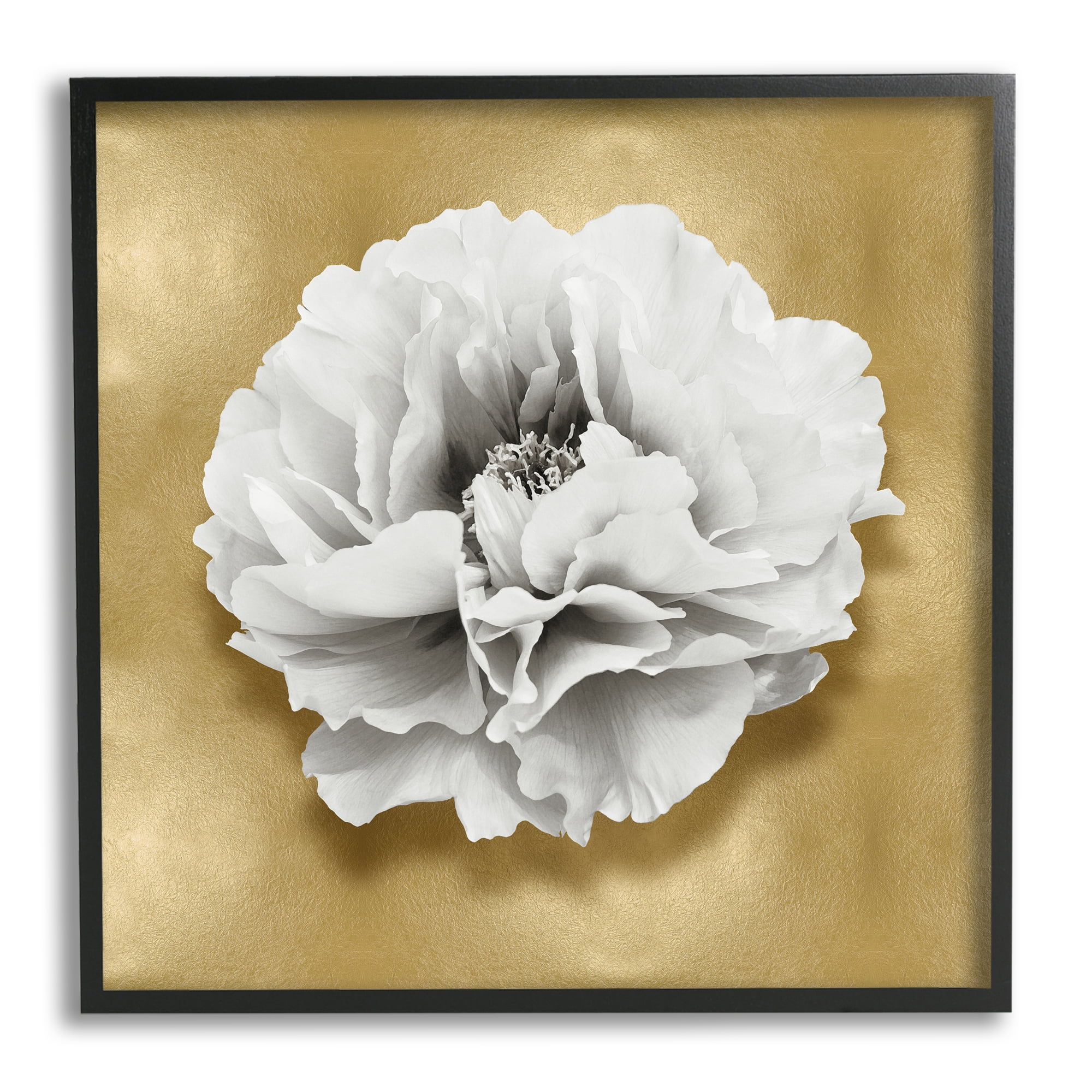 Stupell Industries White Peony on Gold Botanical & Floral Painting Black Framed Art Print Wall Art, 24 x 24