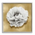 thumbnail image 1 of Stupell Industries White Peony on Gold Botanical & Floral Painting Gray Framed Art Print Wall Art, 24 x 24, 1 of 9