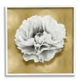thumbnail image 1 of Stupell Industries White Peony on Gold Botanical & Floral Painting White Framed Art Print Wall Art, 17 x 17, 1 of 9