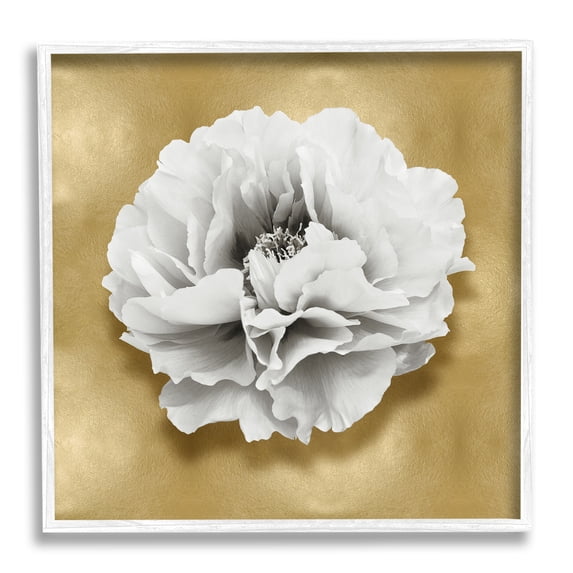 Stupell Industries White Peony on Gold Botanical & Floral Painting White Framed Art Print Wall Art, 17 x 17