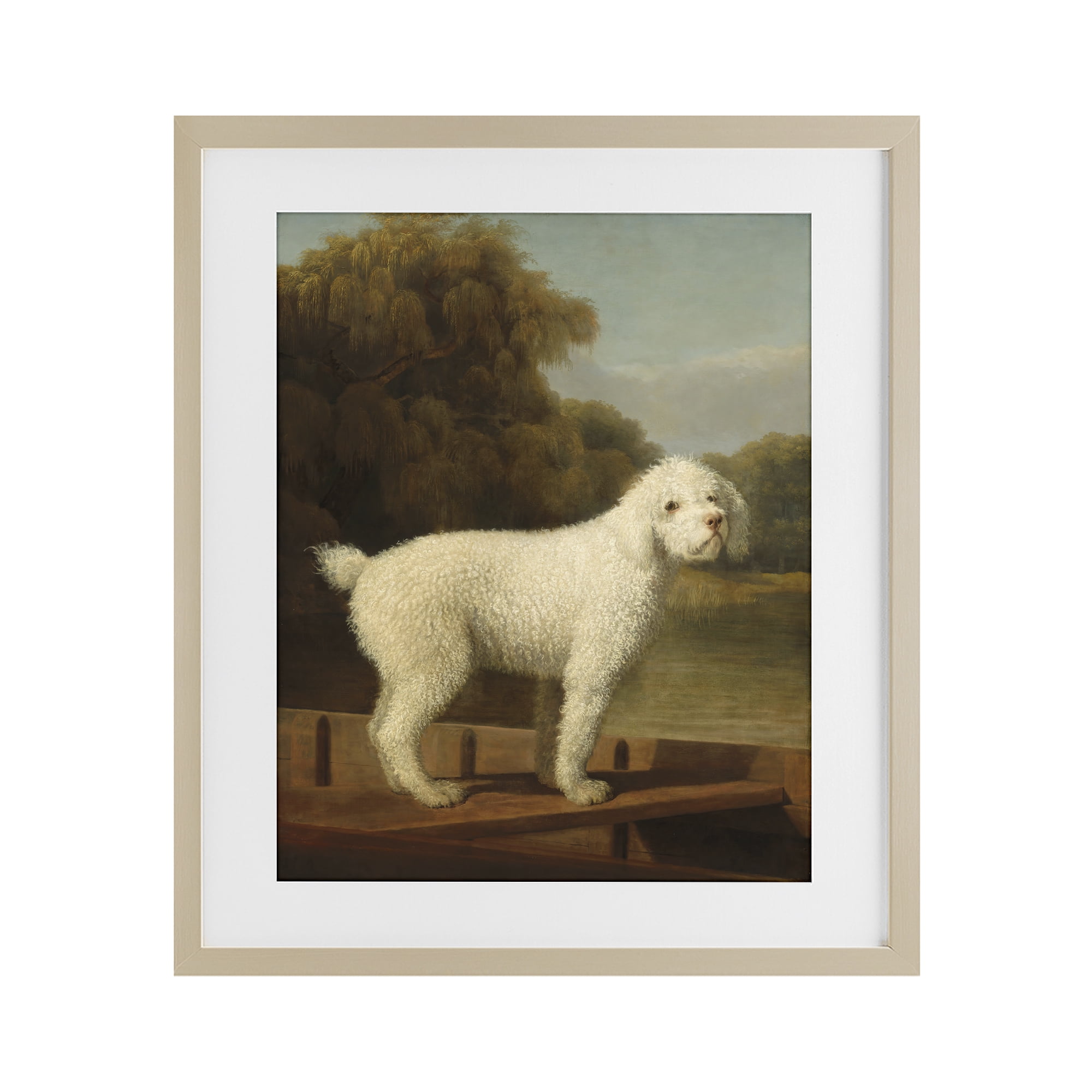 Stupell Industries White Poodle in a Punt Birch Framed Print Under Glass, design by Tina LeCour