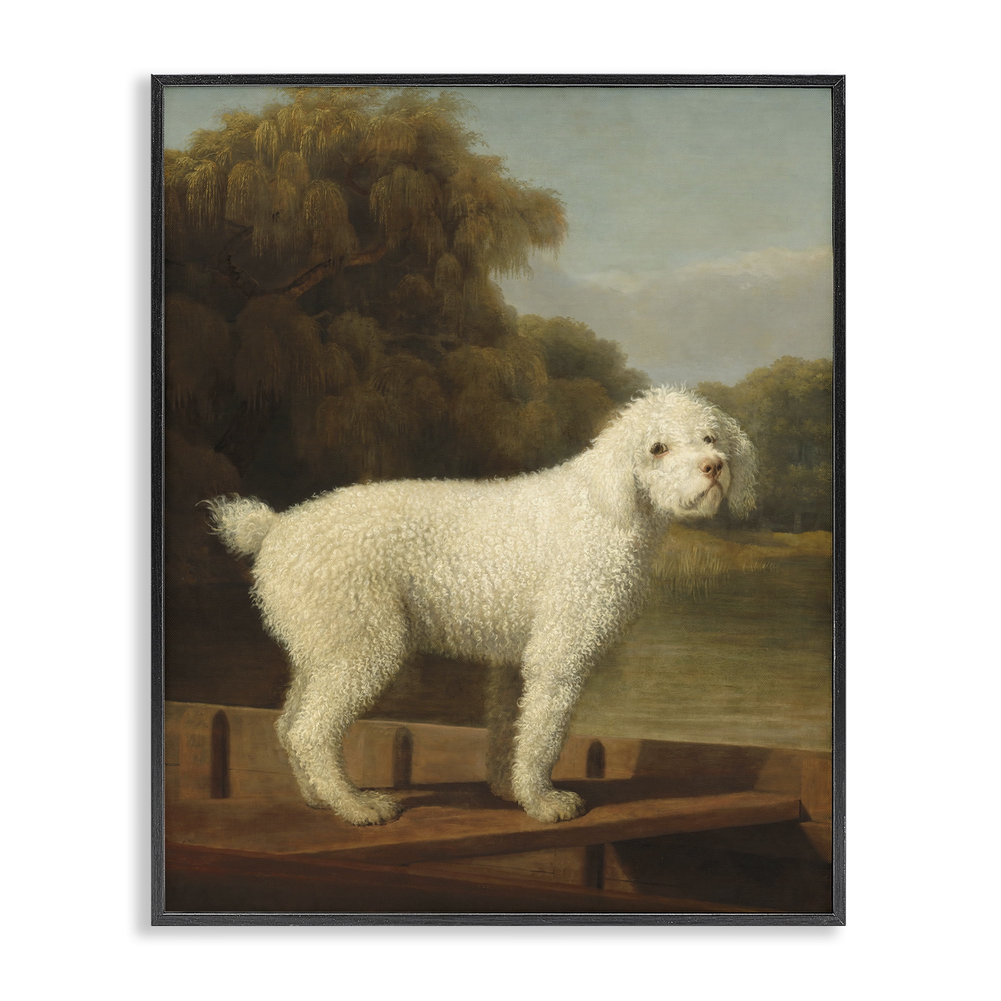 Stupell Industries White Poodle in a Punt Black Framed Giclee Art, design by Tina LeCour