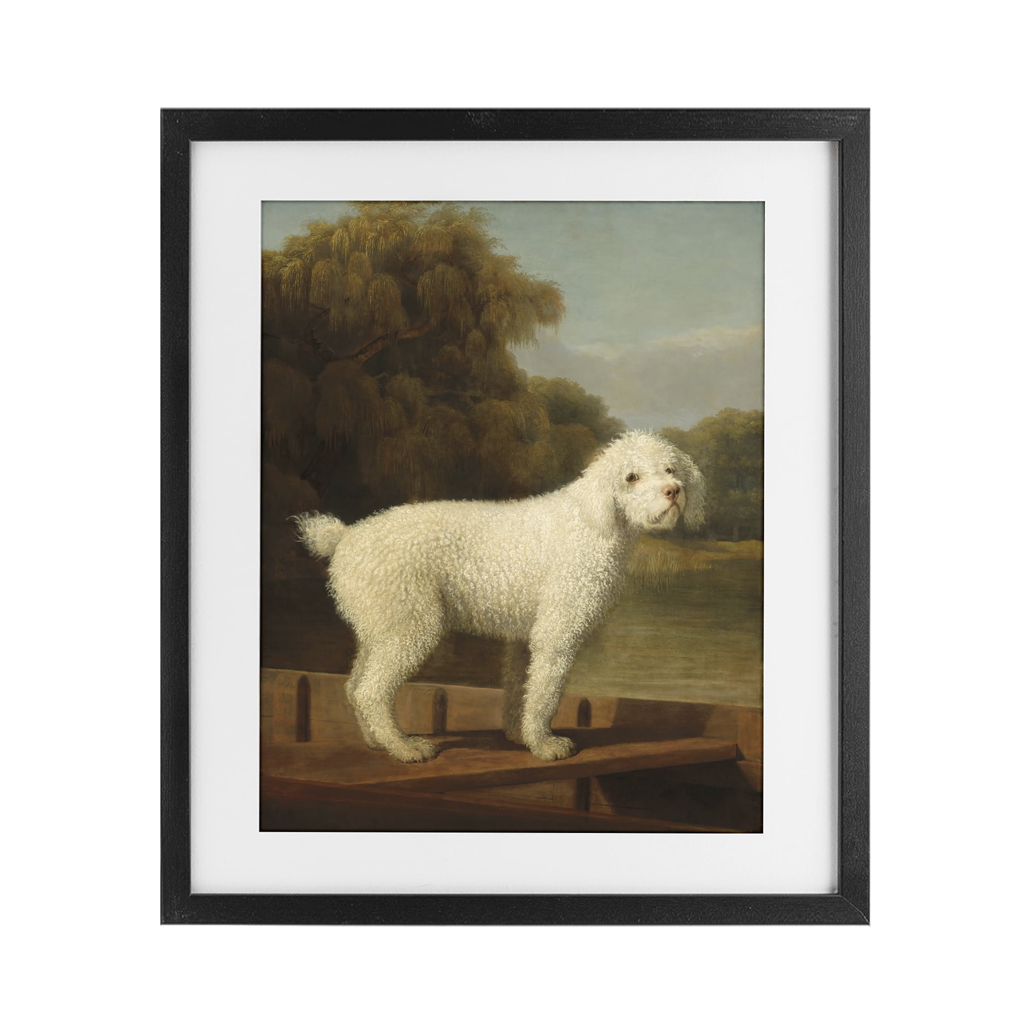 Stupell Industries White Poodle in a Punt Black Framed Print Under Glass, design by Tina LeCour