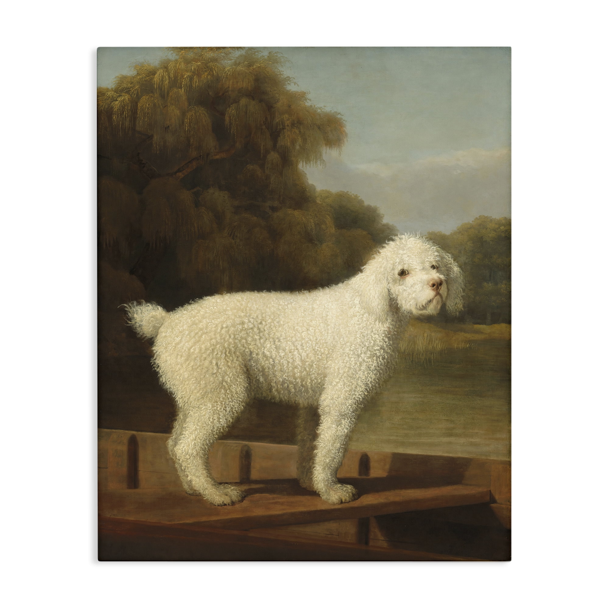 Stupell Industries White Poodle in a Punt Canvas Wall Art, design by Tina LeCour